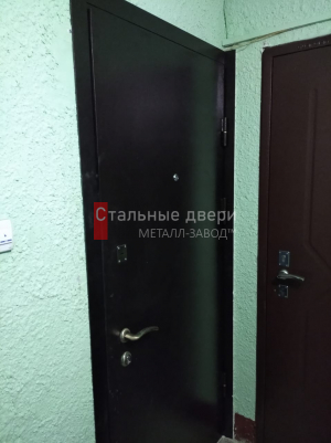 Фото установленной двери №217 в Луховицах
