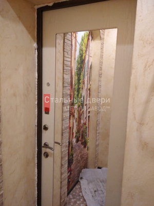 Фото установленной двери №216 в Луховицах